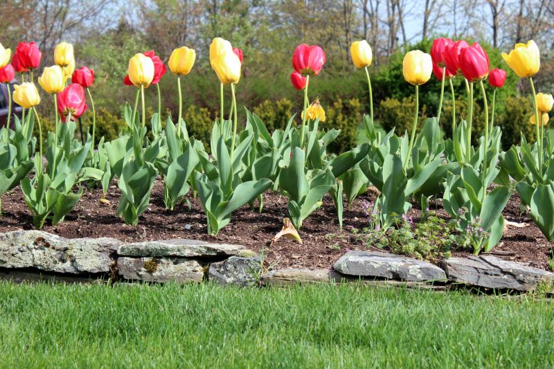 Flowerbed Edging Installation